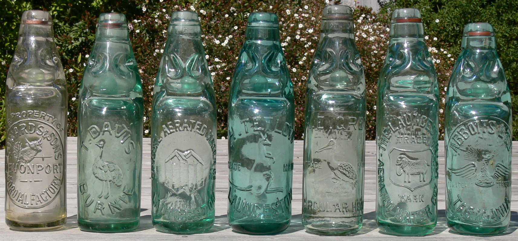 Australian Antique Bottle Collector
