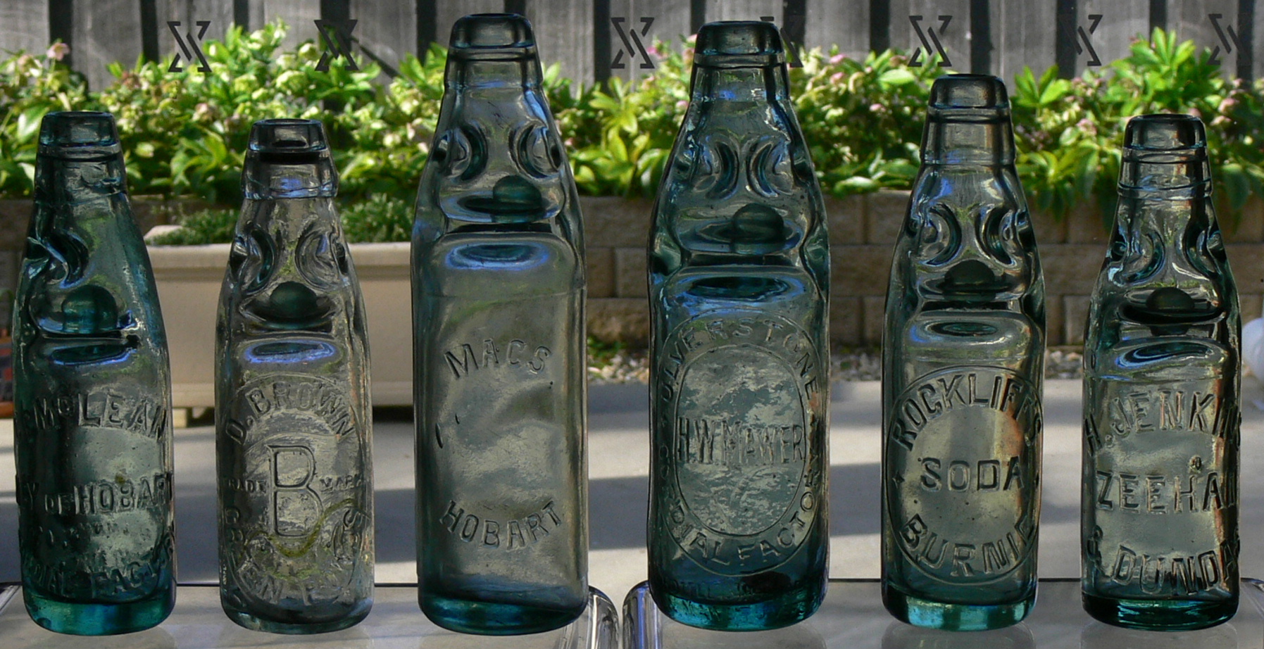 Australian Antique Bottle Collector